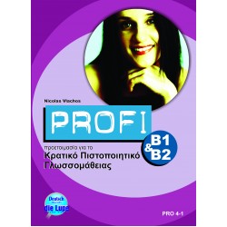 Profi B1&B2 Kursbuch